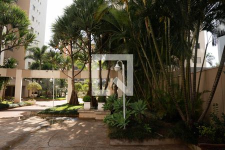 Apartamento para alugar com 87m², 3 quartos e 2 vagasÁrea comum