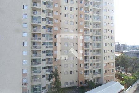 Vista do Quarto 1  de apartamento para alugar com 3 quartos, 83m² em Vila Proost de Souza, Campinas