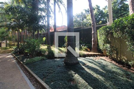 Apartamento para alugar com 63m², 3 quartos e 1 vagaJardim