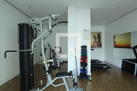 Apartamento à venda com 76m², 3 quartos e 2 vagasÁrea Comum - Academia