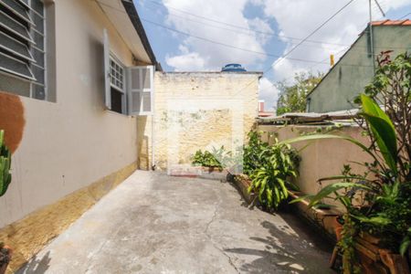 Casa para alugar com 50m², 1 quarto e 1 vaga Casa para alugar com 50m², 1 quarto e 1 vagaQuintal