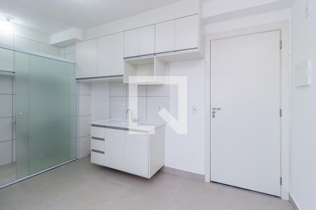 Apartamento para alugar com 35m², 2 quartos e sem vagaCozinha
