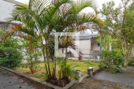 Casa para alugar com 520m², 3 quartos e 2 vagasQuintal