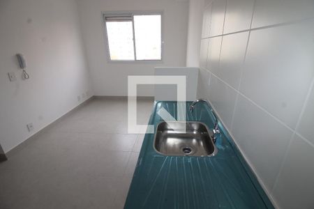 Cozinha de apartamento para alugar com 2 quartos, 33m² em Brás, São Paulo