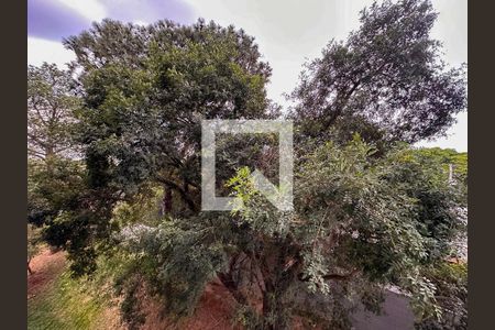 Apartamento à venda com 35m², 1 quarto e sem vagaVista 