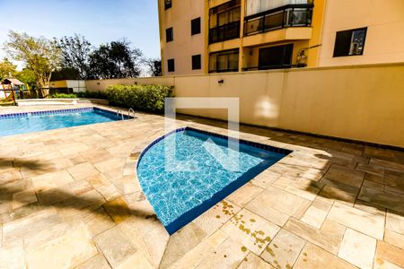 Área comum - Piscina de apartamento para alugar com 3 quartos, 78m² em Vila Sônia, São Paulo
