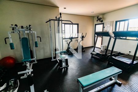 Área comum - Academia de apartamento para alugar com 3 quartos, 78m² em Vila Sônia, São Paulo
