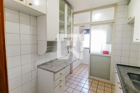 Cozinha - Armários de apartamento para alugar com 3 quartos, 78m² em Vila Sônia, São Paulo