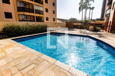 Área comum - Piscina de apartamento para alugar com 3 quartos, 78m² em Vila Sônia, São Paulo