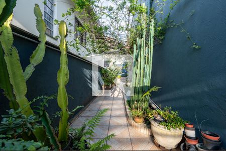 Casa à venda com 300m², 5 quartos e 3 vagasQuintal