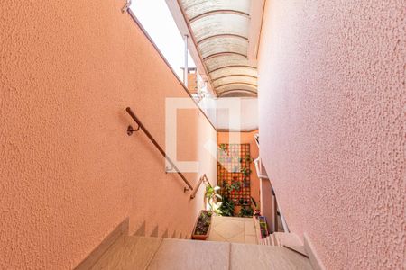 Casa à venda com 253m², 3 quartos e 5 vagasQuintal