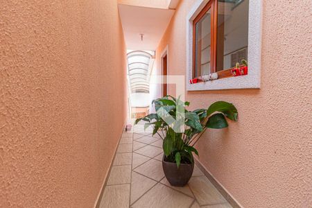 Casa à venda com 253m², 3 quartos e 5 vagasQuintal