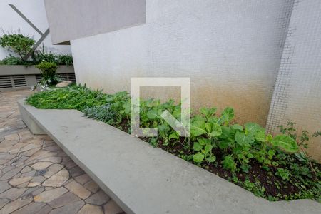 Apartamento para alugar com 256m², 4 quartos e 2 vagasArea Verde / Horta