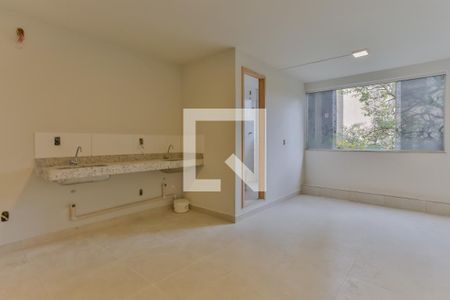 Sala/Cozinha de kitnet/studio para alugar com 1 quarto, 25m² em Barro Preto, Belo Horizonte
