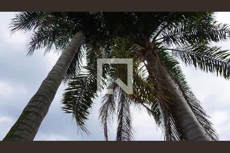 Casa à venda com 300m², 3 quartos e 2 vagasPiscina