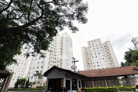 Fachada de apartamento para alugar com 2 quartos, 49m² em Vila Nova Cachoeirinha, São Paulo