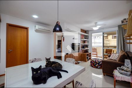 Sala de apartamento para alugar com 2 quartos, 62m² em Icaraí, Niterói