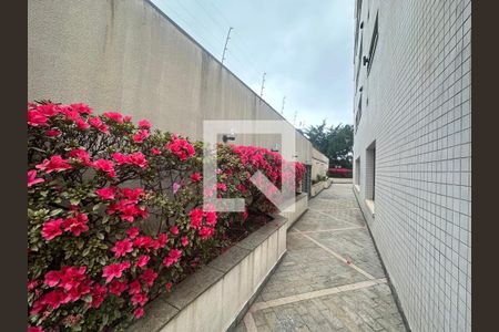 Apartamento para alugar com 163m², 3 quartos e 3 vagas Apartamento para alugar com 163m², 3 quartos e 3 vagasÁrea comum