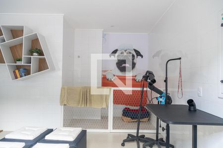Studio para alugar com 27m², 1 quarto e sem vagaárea pet