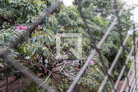 Vista da sala de apartamento à venda com 3 quartos, 62m² em Trevo, Belo Horizonte