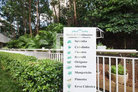 Apartamento para alugar com 48m², 1 quarto e 1 vagaÁrea comum - Horta