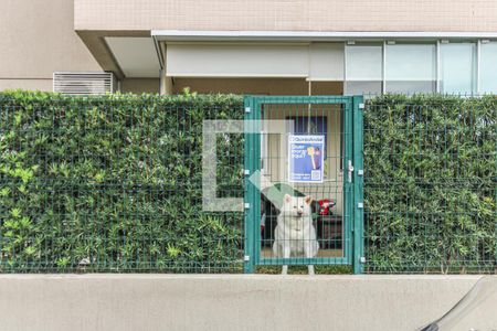 Apartamento à venda com 145m², 3 quartos e 2 vagas Apartamento à venda com 145m², 3 quartos e 2 vagasPlaca Quinto Andar