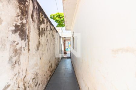 Casa à venda com 300m², 3 quartos e 1 vaga Casa à venda com 300m², 3 quartos e 1 vagaQuintal