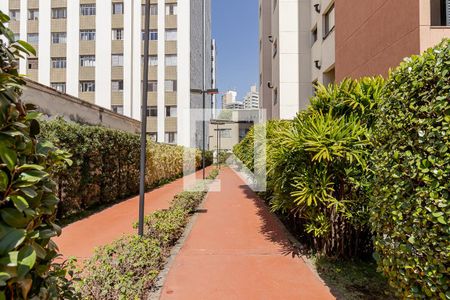 Apartamento para alugar com 38m², 1 quarto e 1 vaga Apartamento para alugar com 38m², 1 quarto e 1 vagaPista de Caminhada