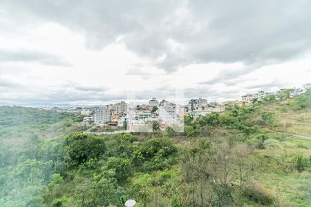 Vista Sala de apartamento à venda com 2 quartos, 72m² em Cabral, Contagem
