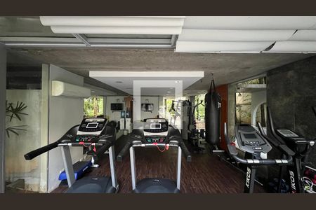 Apartamento para alugar com 227m², 3 quartos e 3 vagasAcademia