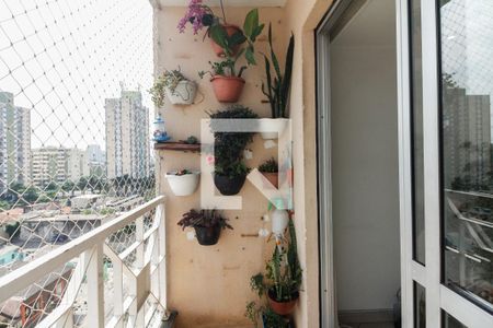 Varanda  de apartamento para alugar com 2 quartos, 60m² em Chácara Califórnia, São Paulo