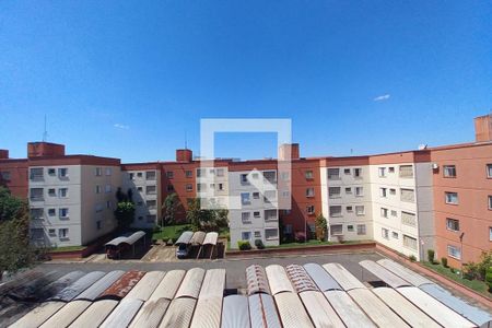 Vista do Quarto 1  de apartamento à venda com 3 quartos, 65m² em Vila Mimosa, Campinas