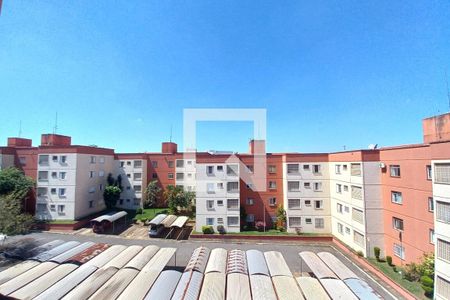 Vista da Sala de apartamento à venda com 3 quartos, 65m² em Vila Mimosa, Campinas