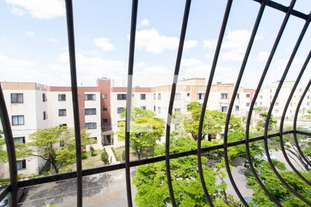 Vista do Quarto 1 de apartamento para alugar com 3 quartos, 62m² em Aarão Reis, Belo Horizonte