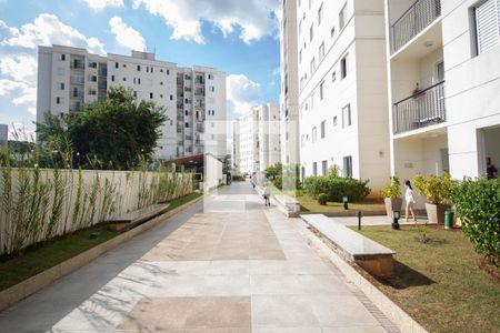 Apartamento para alugar com 50m², 2 quartos e 1 vaga Apartamento para alugar com 50m², 2 quartos e 1 vagaÁrea comum
