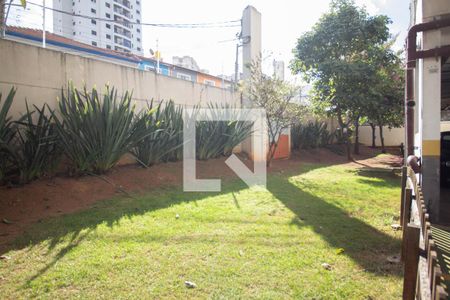 Apartamento para alugar com 50m², 2 quartos e 1 vaga Apartamento para alugar com 50m², 2 quartos e 1 vagaEspaço Pet