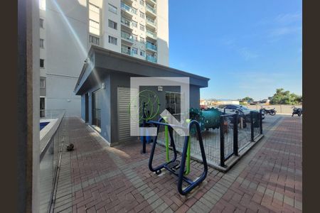 Apartamento para alugar com 47m², 2 quartos e 1 vagaArea comum pet