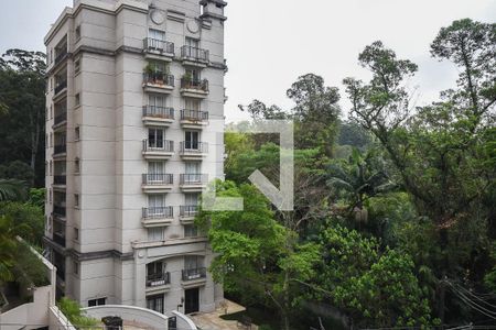 Vista de apartamento à venda com 3 quartos, 128m² em Paineiras do Morumbi, São Paulo