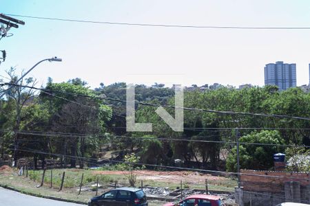 Vista do quarto 2 de apartamento para alugar com 2 quartos, 48m² em Juliana, Belo Horizonte