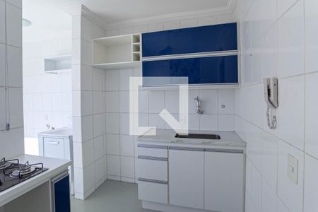 Cozinha de apartamento para alugar com 2 quartos, 48m² em Juliana, Belo Horizonte