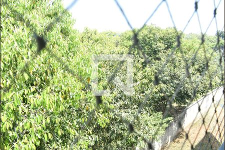 Apartamento para alugar com 52m², 2 quartos e 1 vagaVista do Quarto 2