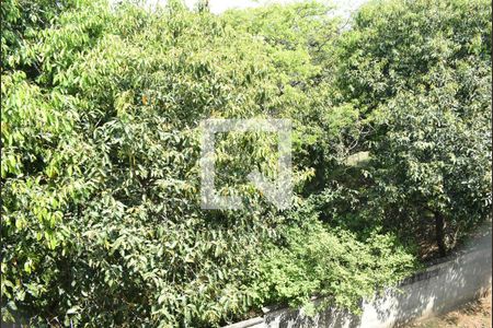 Vista da Sala de apartamento para alugar com 2 quartos, 52m² em Campo Grande, Rio de Janeiro