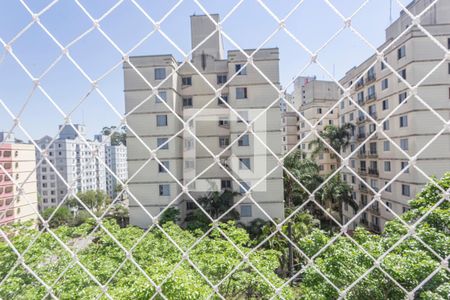 Vista Quarto 1 de apartamento para alugar com 2 quartos, 64m² em Jardim Santa Emília, São Paulo