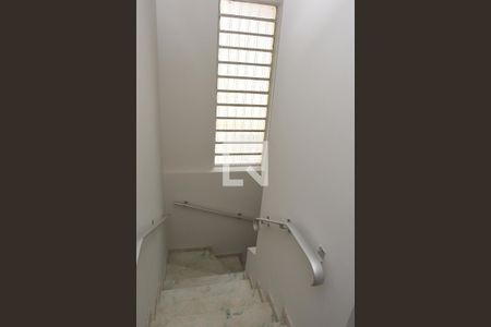 Escada de casa para alugar com 3 quartos, 158m² em Jardim Consorcio, São Paulo