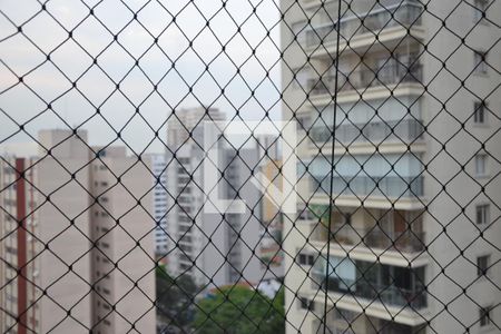 Apartamento para alugar com 60m², 2 quartos e 1 vagaVista da Suíte 