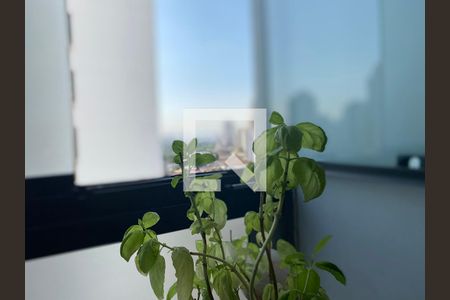 Apartamento à venda com 70m², 2 quartos e 2 vagasÁrea de Serviço - detalhe