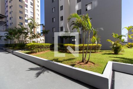 Área Comum    de apartamento para alugar com 2 quartos, 49m² em Vila Marieta, São Paulo