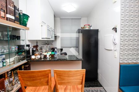 Cozinha de apartamento à venda com 2 quartos, 56m² em Santo Antônio, Belo Horizonte