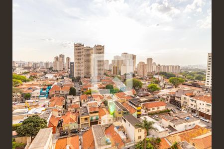 Apartamento à venda com 250m², 4 quartos e 3 vagasSuíte 4 - Vista