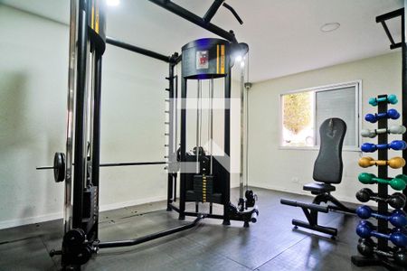 Apartamento para alugar com 53m², 2 quartos e 1 vagaÁrea comum - Academia